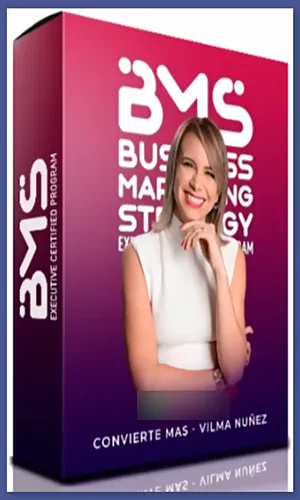 Bussines marketing strategy 2024 vilma núñez
