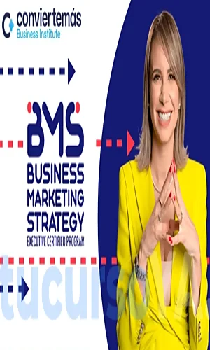 Business Marketing Strategy Vilma Nuñez