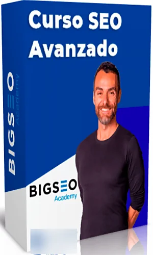 Seo avanzado romuald fons bigseo