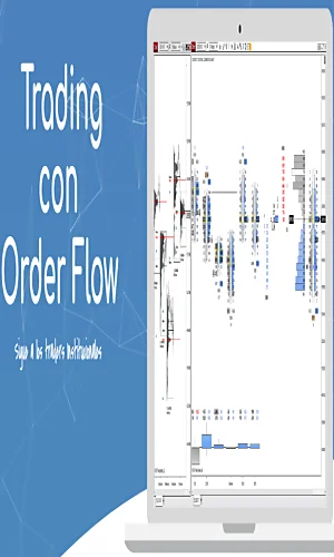 Stbo Dtp Day Trader Profesional